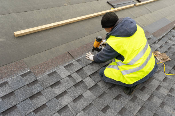 Best Storm Damage Roof Repair  in Bogata, TX