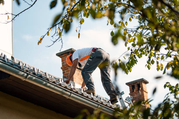 Best Sealant for Roof  in Bogata, TX