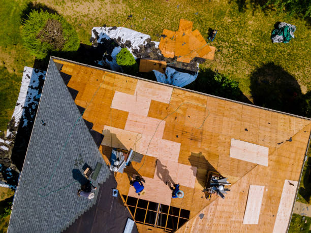 Best Tile Roofing Contractor  in Bogata, TX