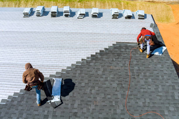 Best Flat Roof Repair Services  in Bogata, TX